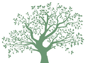 tree-illustration-v1 Tree Illustration